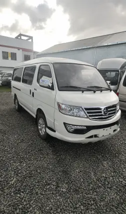 King Wing Minibus Foto