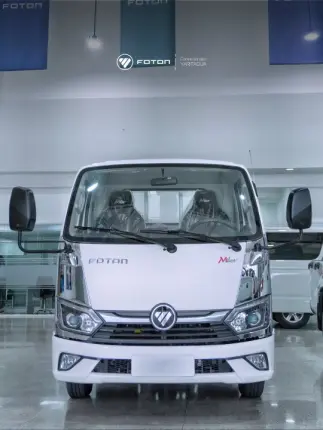 Foton Miler 2 toneladas con Batea Foto