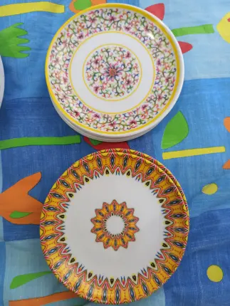 Platillos elegantes de melamina Foto