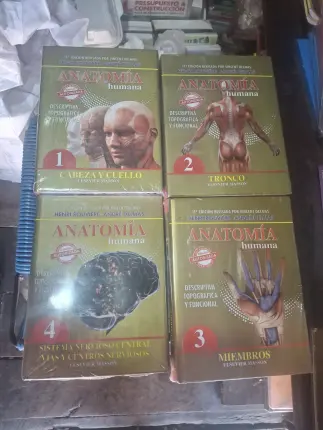 Anatomía de Ruviere Foto
