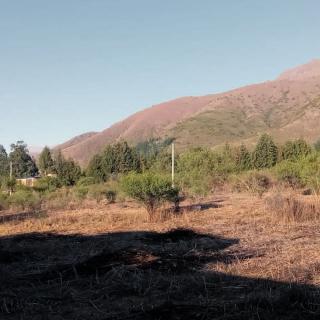 1000m2 de terreno por solo 38$ el m2 Foto