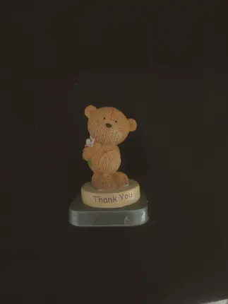 Osito decorativo Thank You Foto