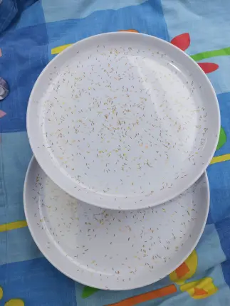 Bandejas de melamina con chispas doradas Foto