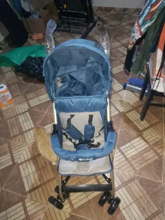 carrito de bb Foto