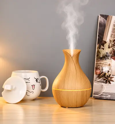 Humidificador de aromas a Bs 80 - LP Foto