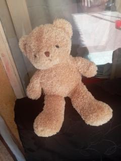 peluche oso Foto