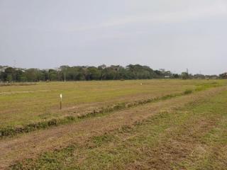 HERMOSA URBANIZACIÓN DE LOTES DE TERRENO Foto
