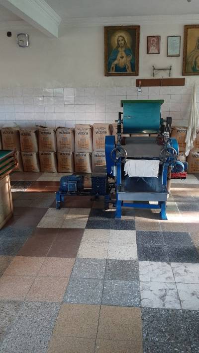 Vendo pequeña fábrica de tallarines Foto