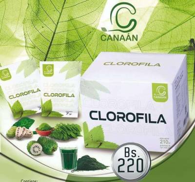 Productos naturales Canaan Company Foto