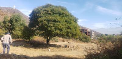 En COCHABAMBA 12 lotes sobre carretera Foto