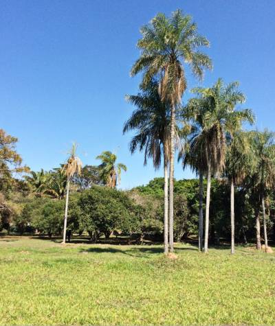 Vendo Terreno-DOBLE VÍA LA GUARDIA Foto