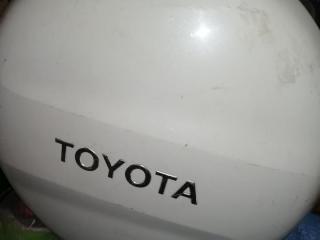 Bombo Foto