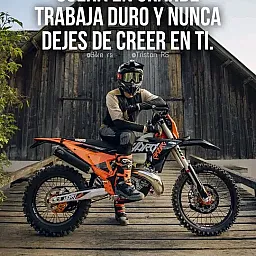 Foto perfil