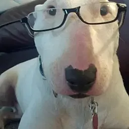 Foto perfil